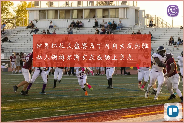 世界杯社交盛宴马丁内利女友优雅动人胡梅尔斯女友成场上焦点