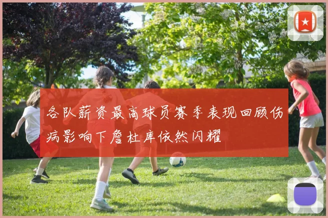 各队薪资最高球员赛季表现回顾伤病影响下詹杜库依然闪耀